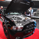 Illustration for article titled 2011 Dodge Charger Mopar Special Edition is all black-and-blue